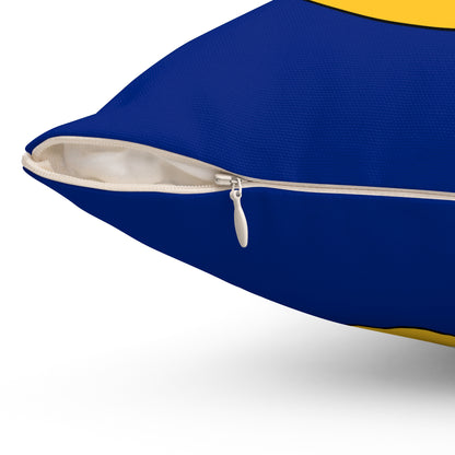 Barbados Retro Target Cushion Pillow