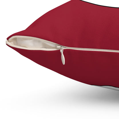 Latvia Retro Target Cushion Pillow