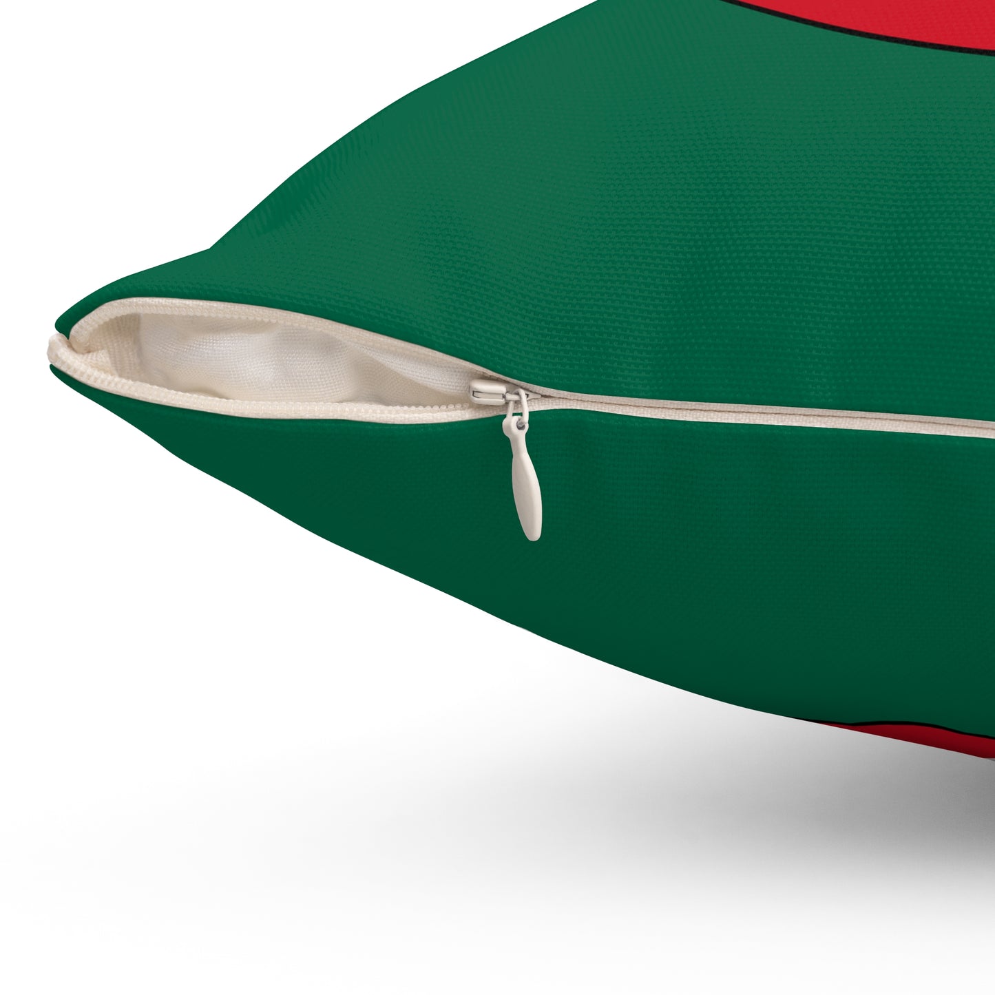Mexico Retro Target Cushion Pillow