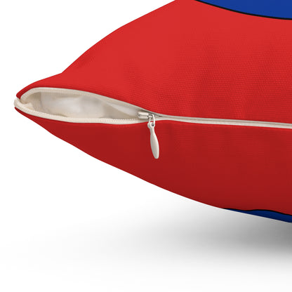 Bouvet Island Retro Target Cushion Pillow