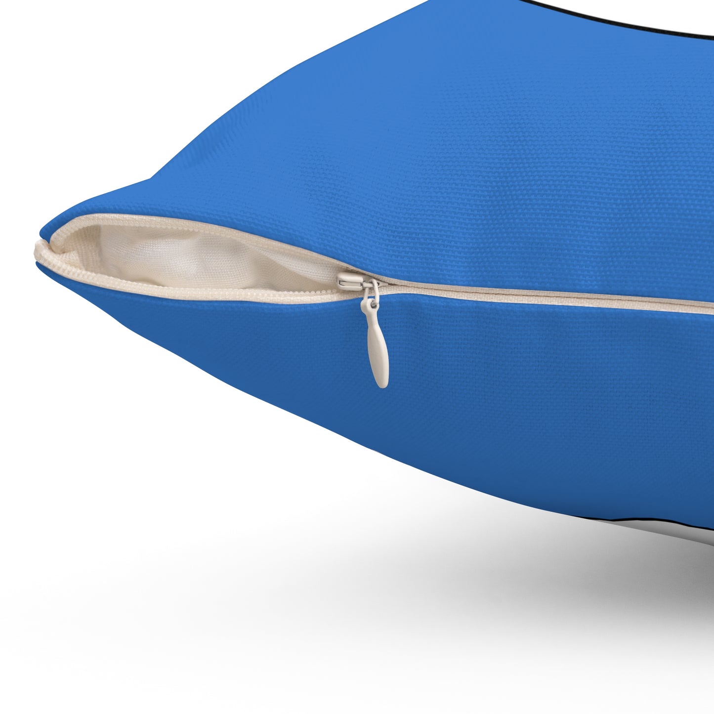Antarctica Retro Target Cushion Pillow